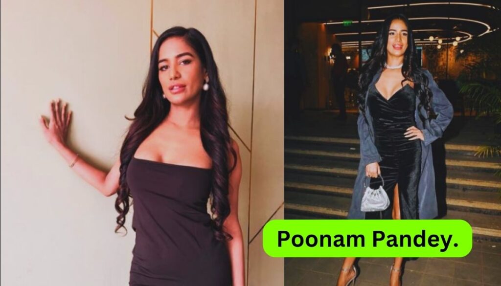 Poonam Pandey Biography And Net Worth.